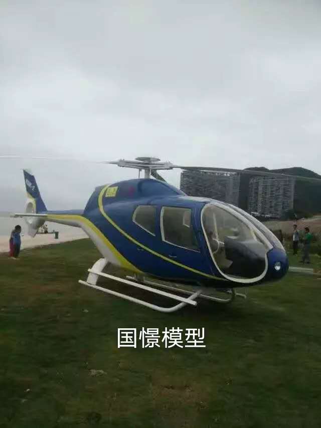 资溪县飞机模型