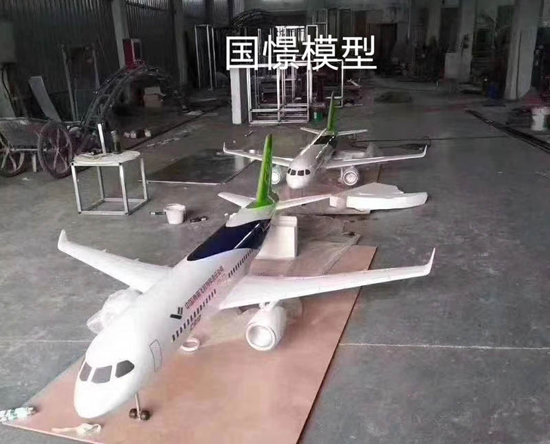 资溪县飞机模型